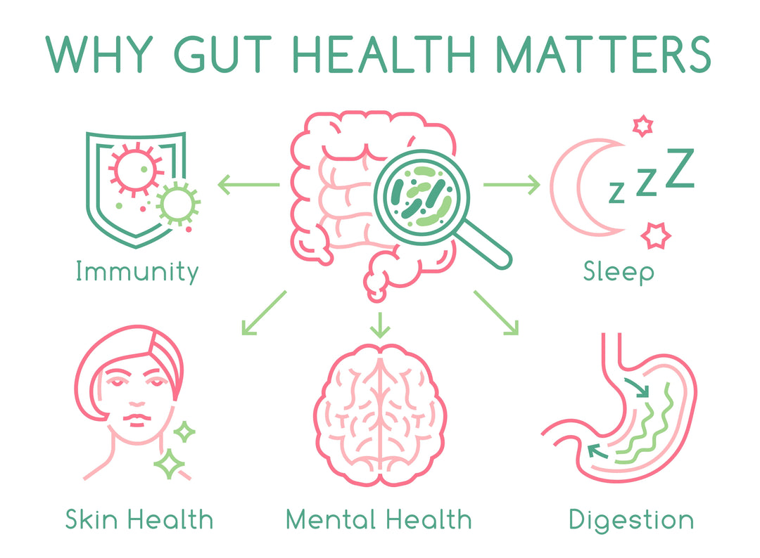 Why Does Digestion Get Harder as We Get Older?.