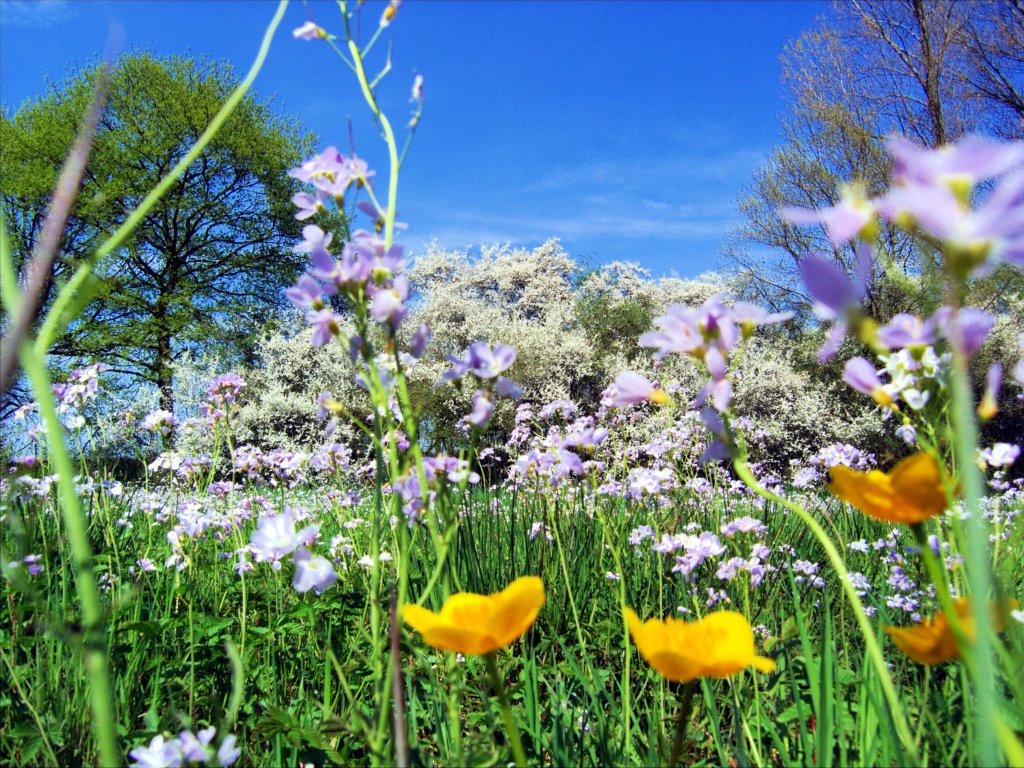 The Health Benefits of Spring Time!.
