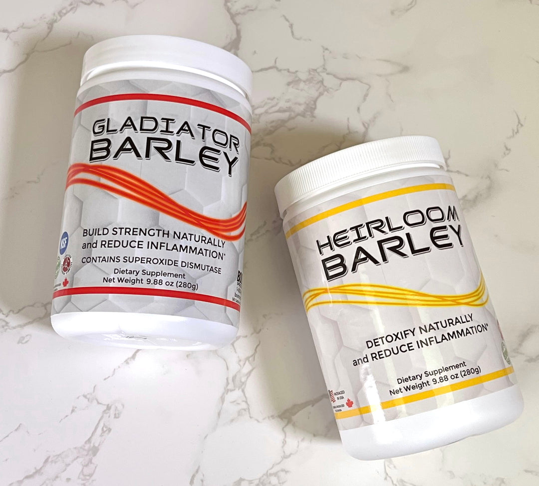 100% organically grown sprouted barley powders. Gladiator Barley and Heirloom Barley.