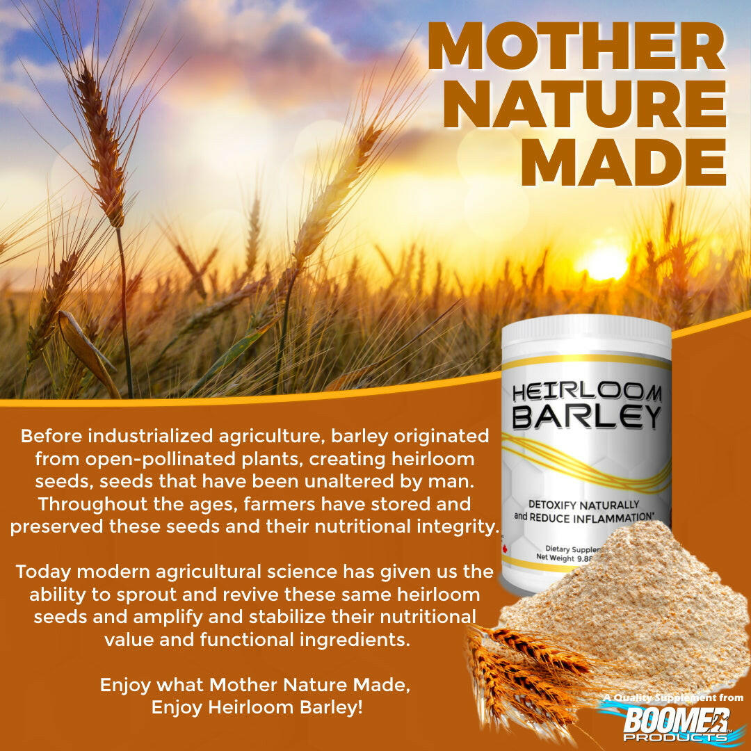 Heirloom Barley.