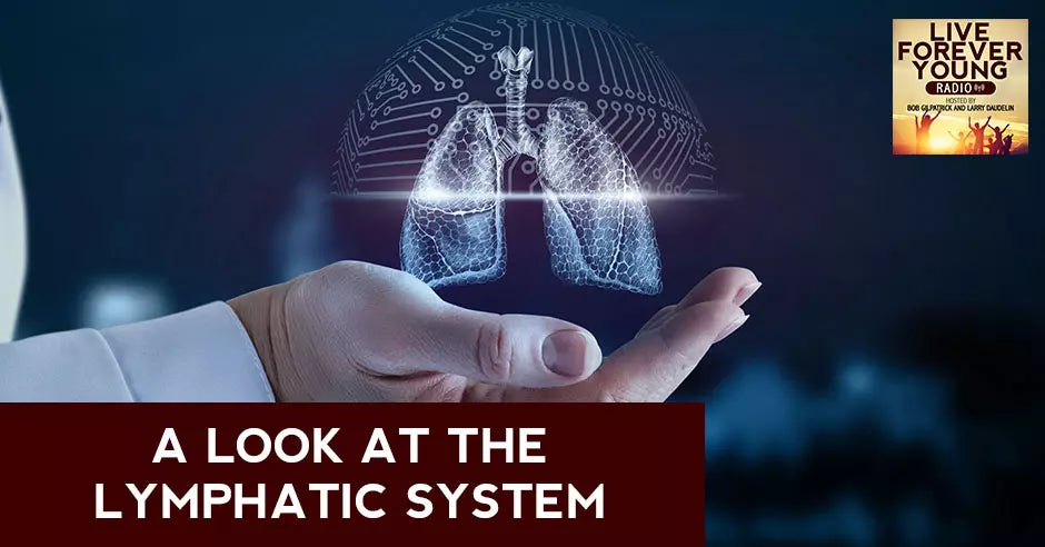 A Look At The Lymphatic System.