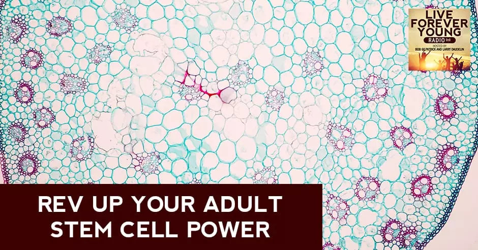 Rev Up Your Adult Stem Cell Power