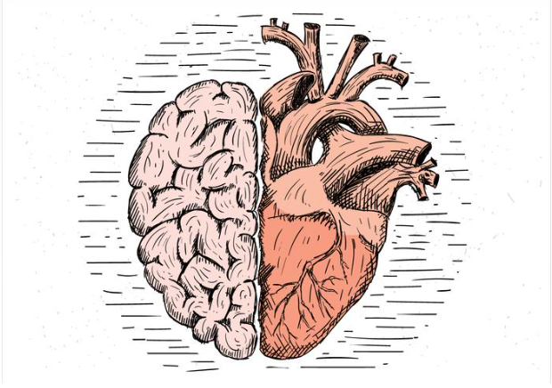 WHAT IS THE BRAIN-HEART CONNECTION? – Boomers Forever Young