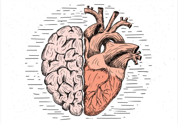 WHAT IS THE BRAIN-HEART CONNECTION?.