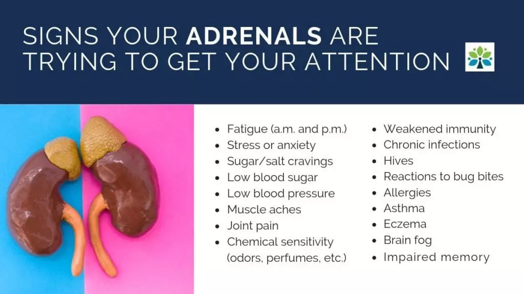 Are You Suffering From Adrenal Fatigue?