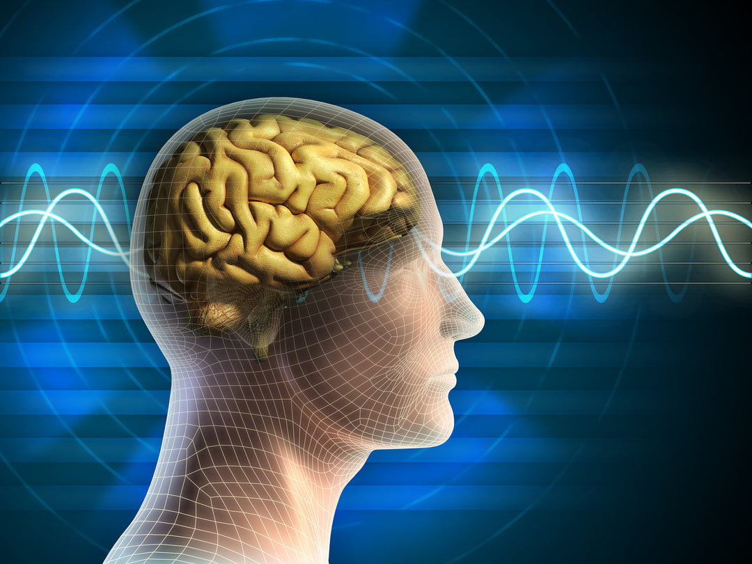 Creating New Brain Cells into our 70's.